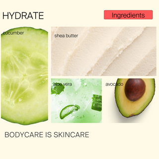 Shea Hand Lotion 1.7 oz.